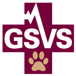 GSVS