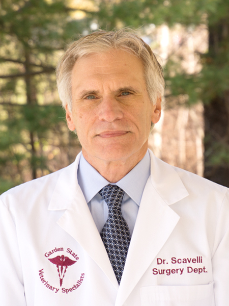 Thomas D. Scavelli, DVM, DACVS