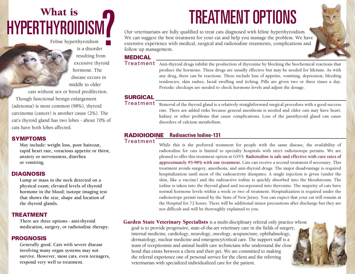 I 131 treatment for store cats