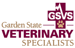 Gsvs Emergency Critical Care Specialty Veterinary Hospital