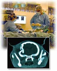 Neurology Emergency Surgery