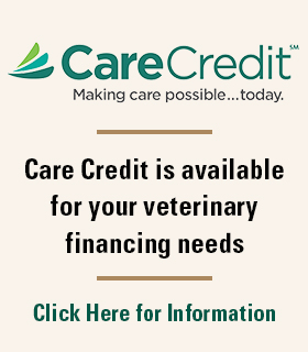 Care Credit Home Page Block