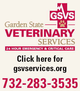 GSVServices Home Page Block
