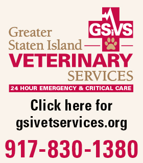 GSiVS Home Page Block