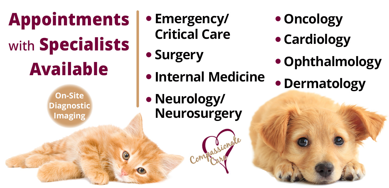 GSVS – Emergency/Critical Care & Specialty Veterinary Hospital
