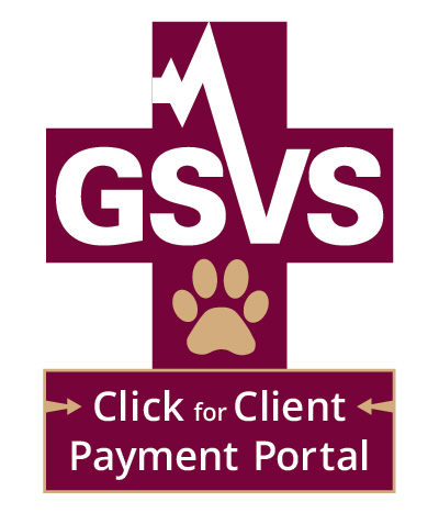 Client Payment Portal