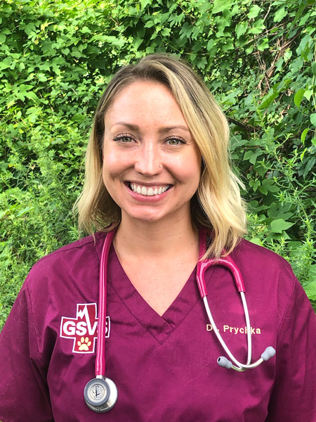 Staff-Prychka Holly Prychka, DVM - Practice Limited to Surgery