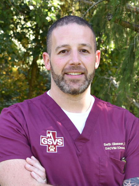 Seth Glasser, DVM, DACVIM (Oncology)