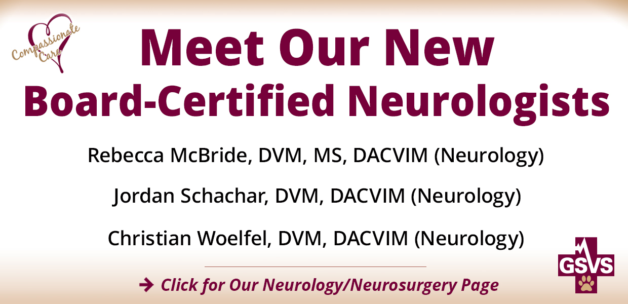 Meet Our New Neurologists