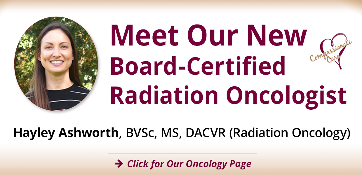 Meet Our New Radiation Oncologist