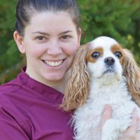 Rebecca McBride, DVM, MS, DACVIM (Neurology)