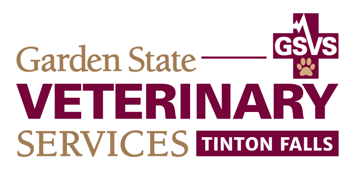 GSVS Veterinary Emergency Services, Tinton Falls location logo