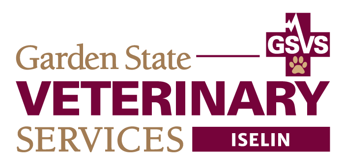 GSVS Veterinary Emergency Services, Iselin location logo