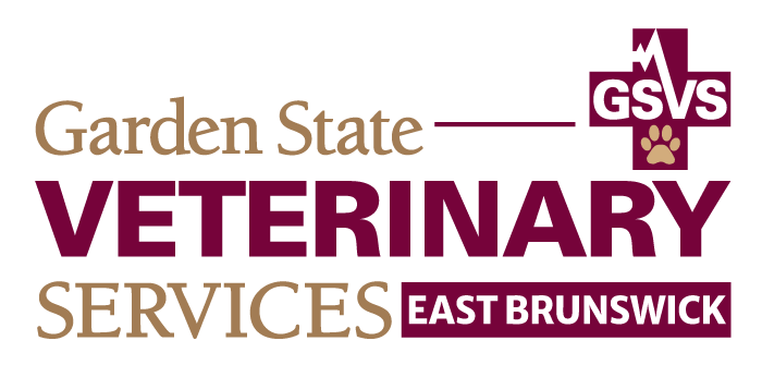GSVS Veterinary Emergency Services, East Brunswick location logo