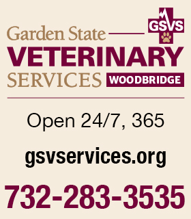 GSVServices WOODBRIDGE location at 1200 Rt. 9 North, Woodbridge, NJ