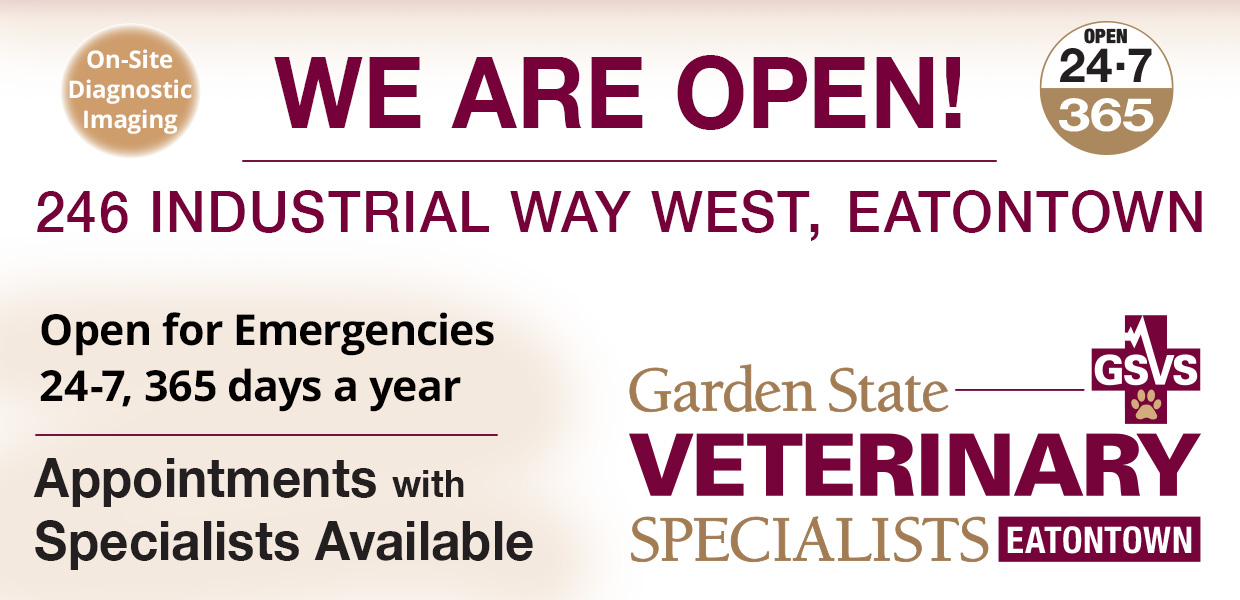 GSVS has moved to 246 Industrial Way West, Eatontown