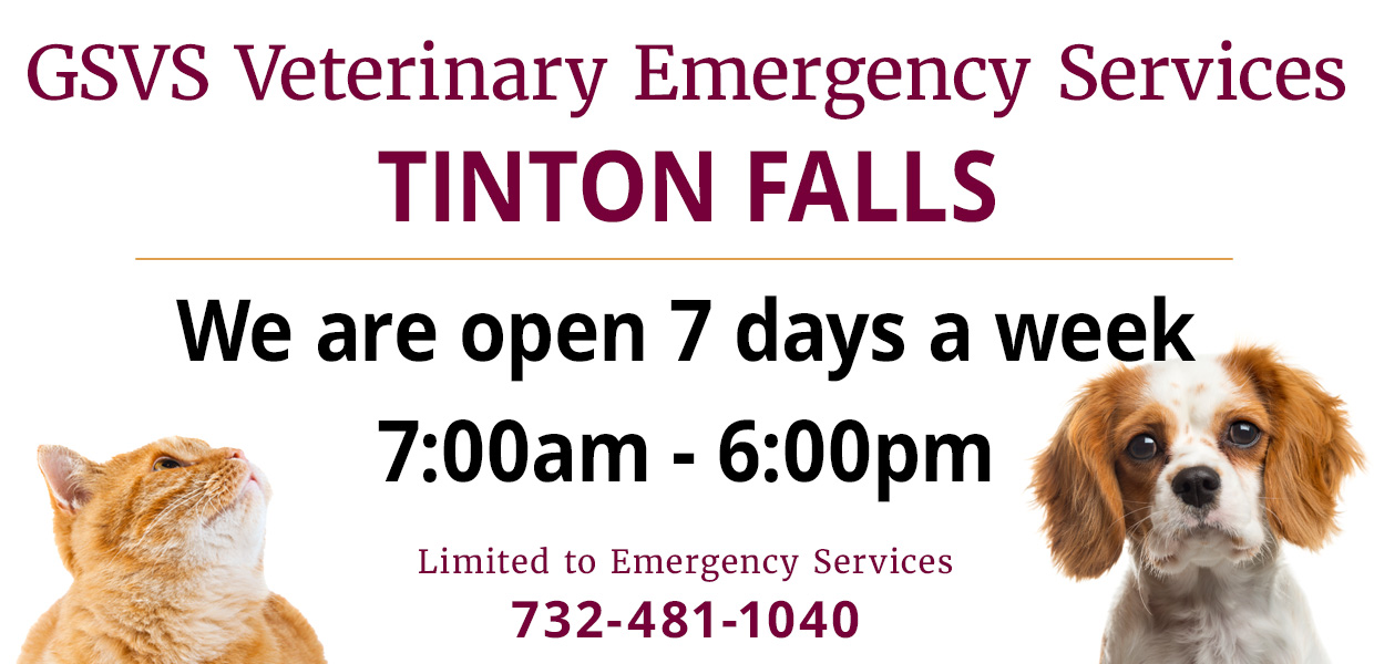 GSVS Veterinary Services Tinton Falls: We are open 7 days a week for Emergency Services