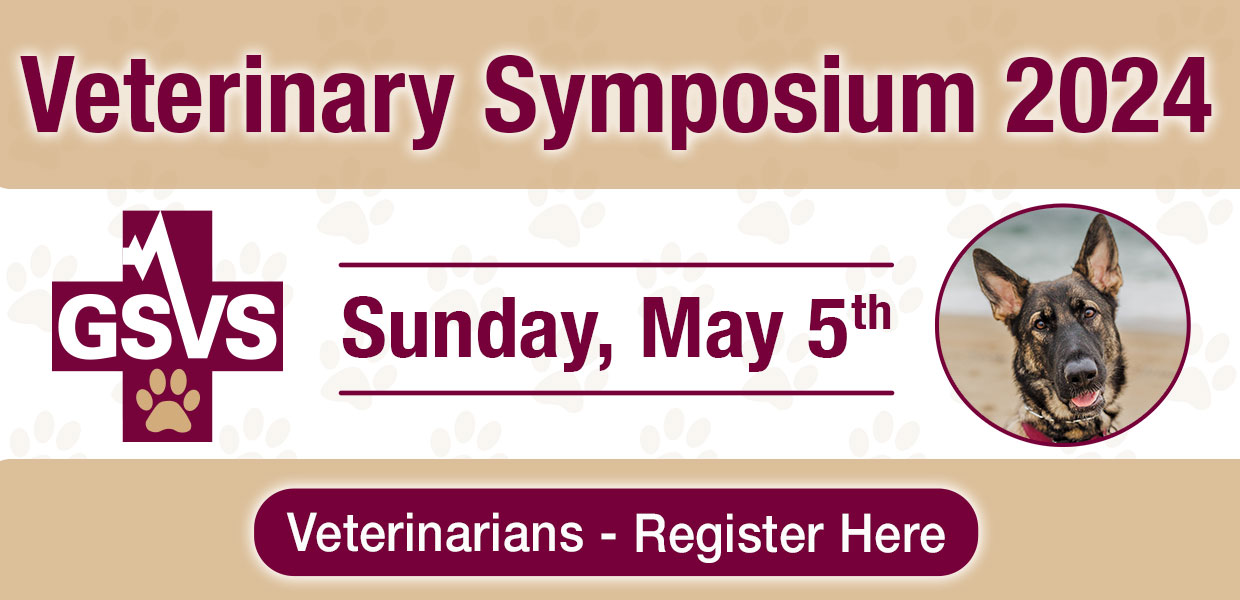 GSV Specialists Symposium May 5 2024