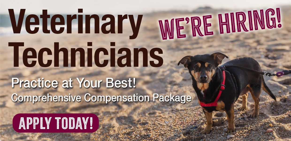 GSVS is hiring Veterinary Technicians