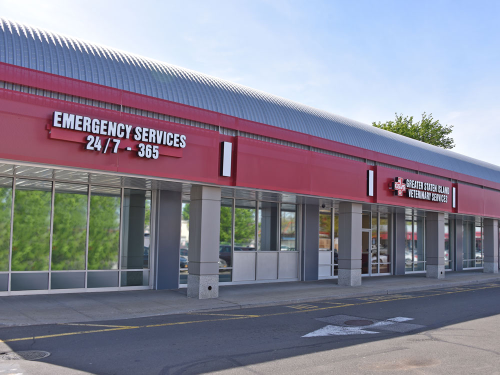 Greater Staten Island Veterinary Specialists, NY